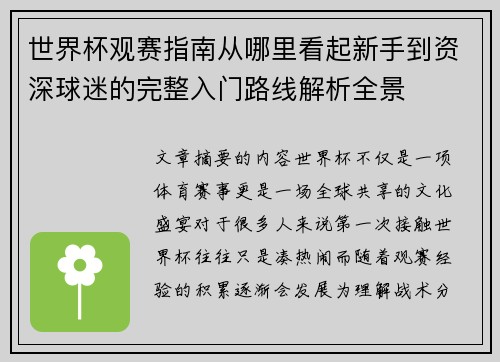 世界杯观赛指南从哪里看起新手到资深球迷的完整入门路线解析全景